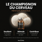 FOCUS : Lion's Mane Gummies