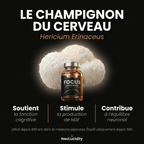 FOCUS : Lion's Mane Gummies