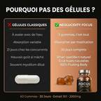 FOCUS : Lion's Mane Gummies